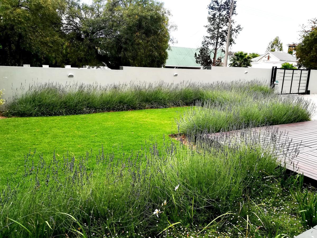 Tranquil House B&B @ 1 College Ave Queenstown Extérieur photo